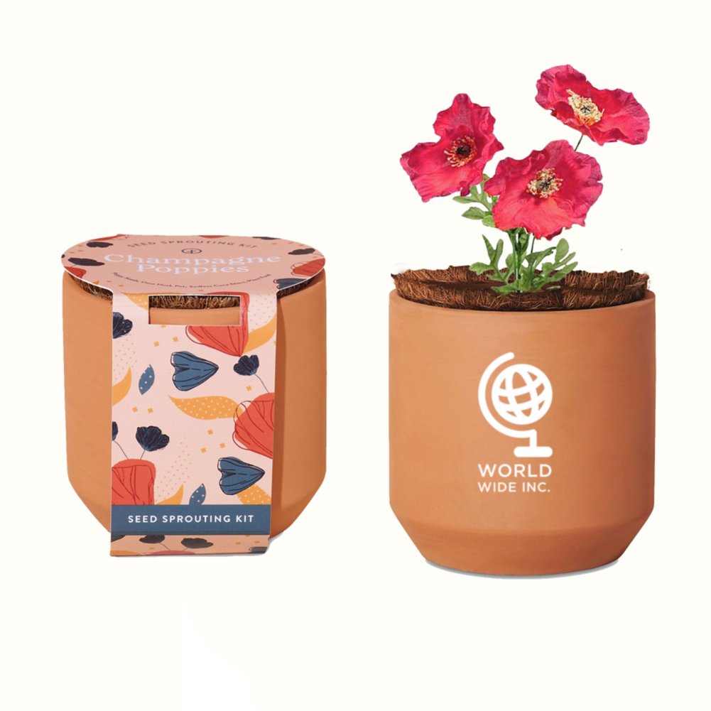 View larger image of Add Your Logo: Modern Sprout® Tiny Terracotta Grow Kit